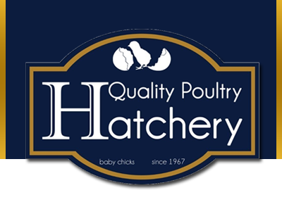 Quality Poultry Hatchery